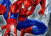 Spider-Man City Raid
